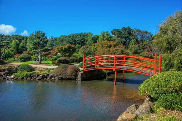 istock Japanese Gardens Toowoomba Queensland 1302157191