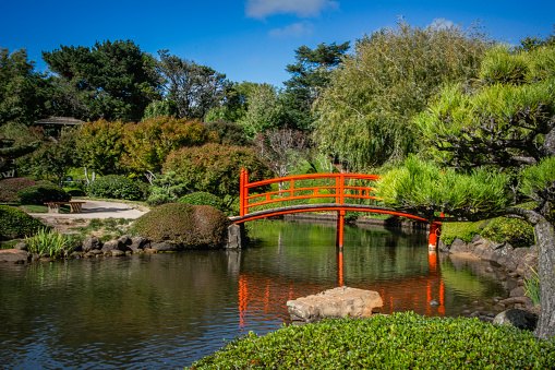 Japanese style public park with pond and a red bridge