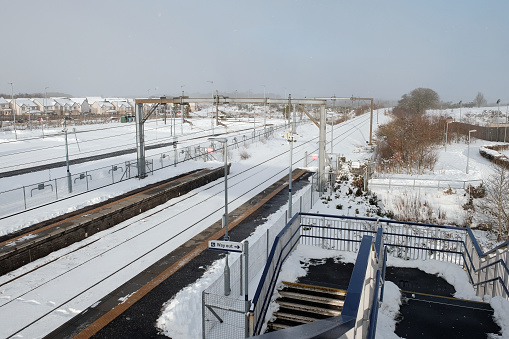 A large number of snow covered trains in a rail yard in winter.