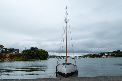 Bays of Ireland