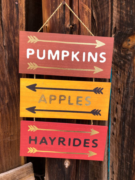 autumn sign: pumpkins apples hayrides - camel fair imagens e fotografias de stock
