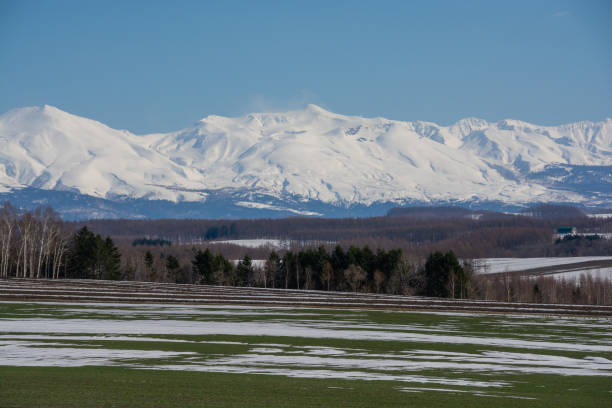 istock Green fields with residual snow and snowy mountains on a sunny spring day 1302168859
