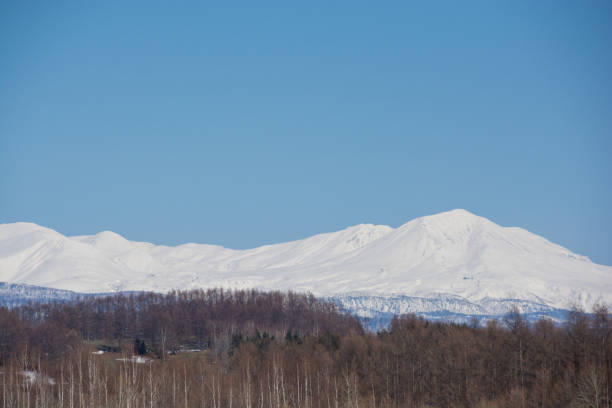 istock Early spring thickets and snowy mountains with blue sky 1302169048