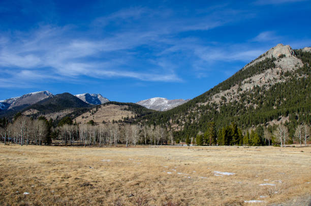 istock Late Day view across Meadow 1302170158
