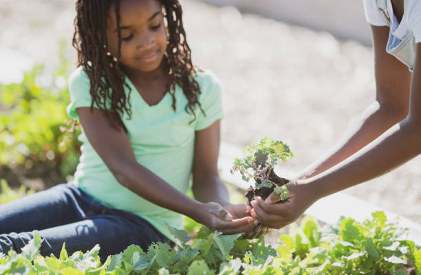 istock A new plant for the garden 1302175825