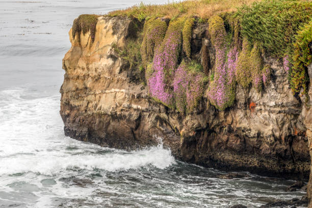 istock Colorful Cliffs of Santa Cruz 1302176361