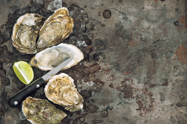istock Fresh opened oyster lime on ice. Gourmet seafood 1302176928