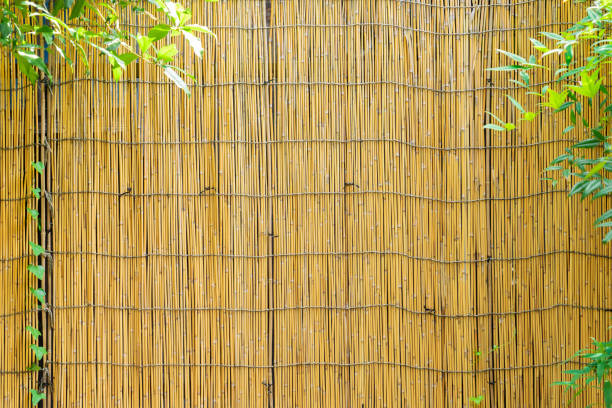 istock Japanese style house, marsh-reed screen, 1302178701