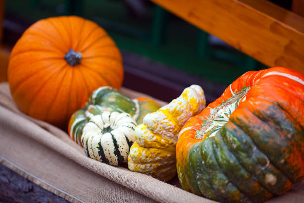 Raw Food Organic and Natural Pumpkin Vegetables