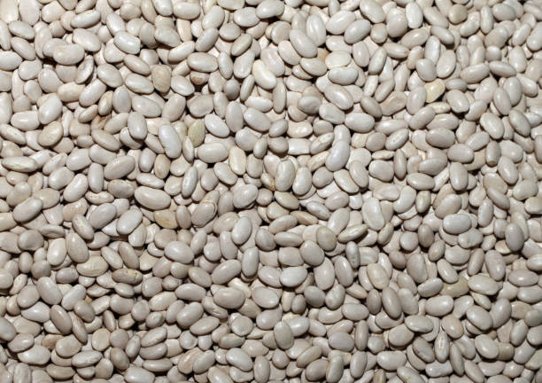istock Healthy and Fresh Raw Food White Bean 1302182343