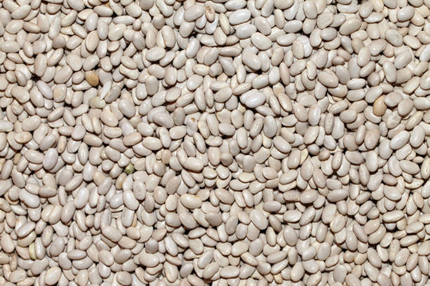 istock Healthy and Fresh Raw Food White Bean 1302183607