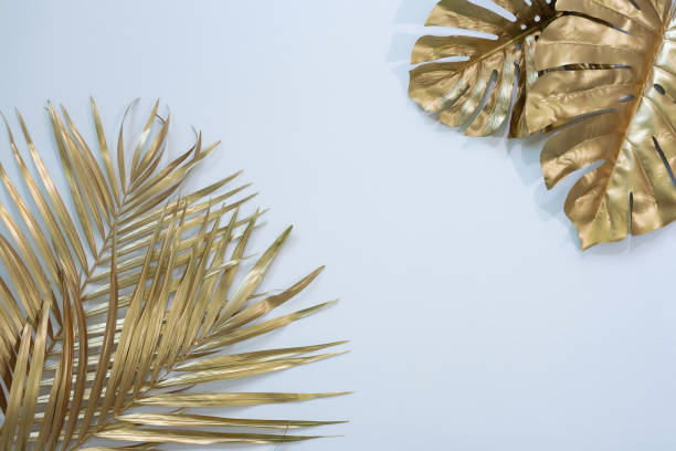istock Gold tropical palm leaves Monstera on white background. Flat lay, 1302186965