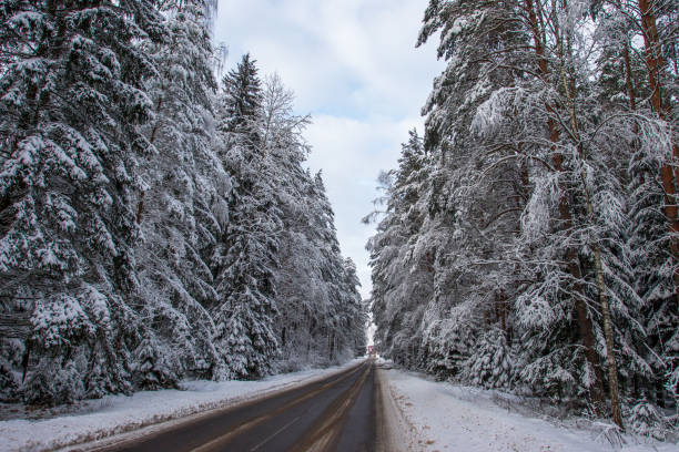 istock Winter forest panorama motor road 1302187044