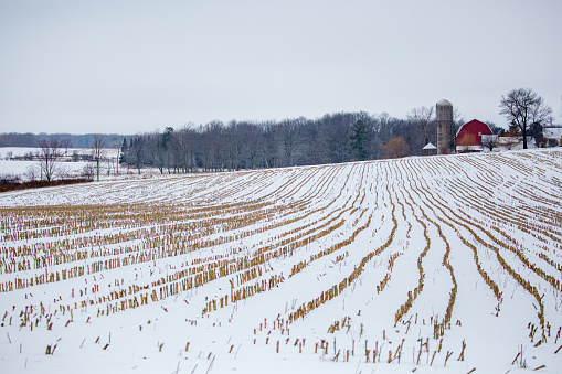 Central Wisconsin farmland with corn crop harvested in January, horizontal