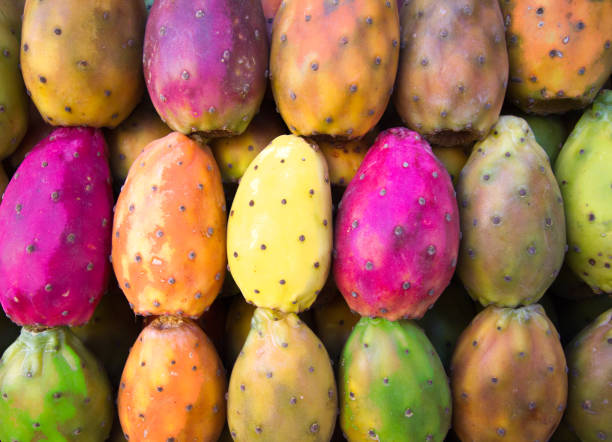 colorful vibrant prickly pears full frame - prickly pear fruit fotos imagens e fotografias de stock