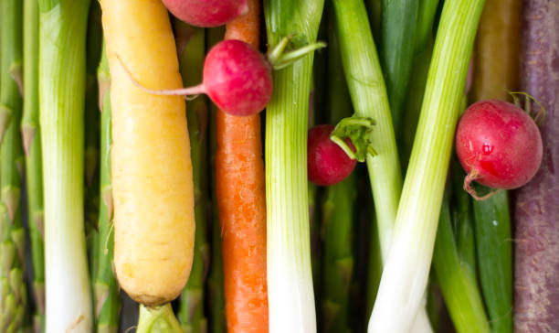 vegetais crus full frame: cenouras, rabanetes, cebolinha - red radish horizontal still life full frame - fotografias e filmes do acervo