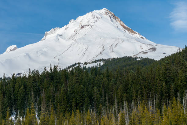 istock Mt Hood in Oregon 1302188958