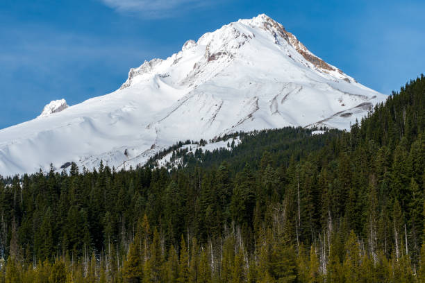 istock Mt Hood in Oregon 1302188961