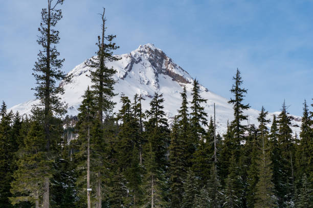istock Mt Hood in Oregon 1302188994