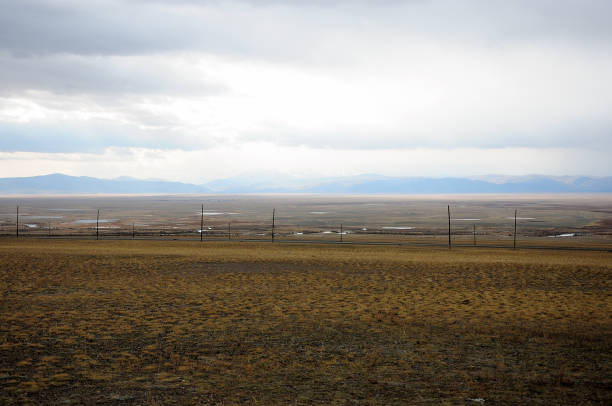 istock Power poles stand along the road going through the endless autumn steppe. 1302189721
