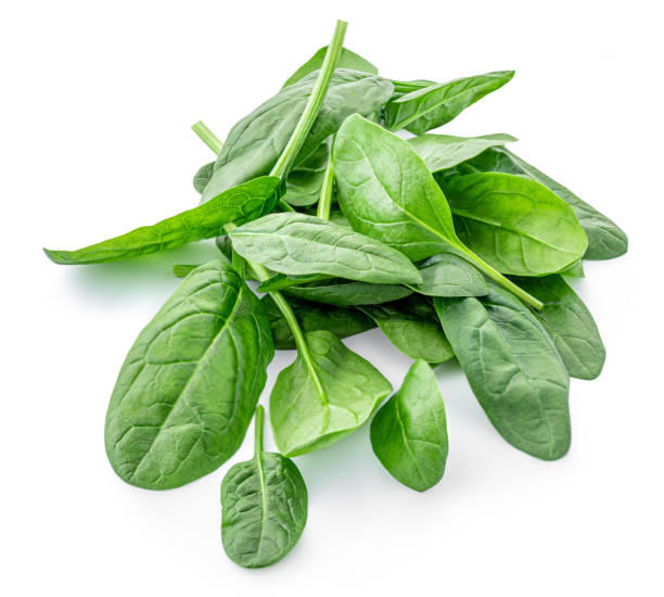 istock Spinach leaves isolated on white background. Various Spinach leaf Macro. Top view. Flat lay.