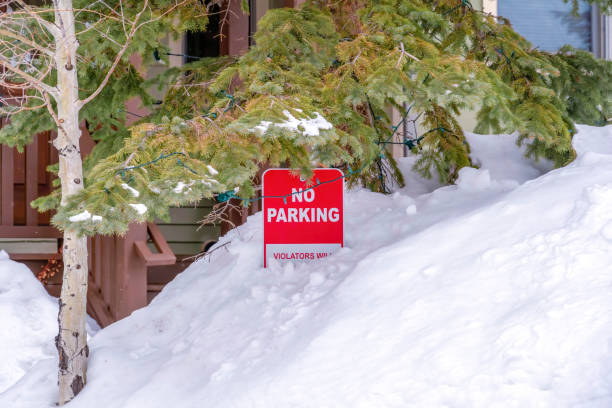 istock No Parking sign half buried in fresh snow beside a tree with string lights 1302195413