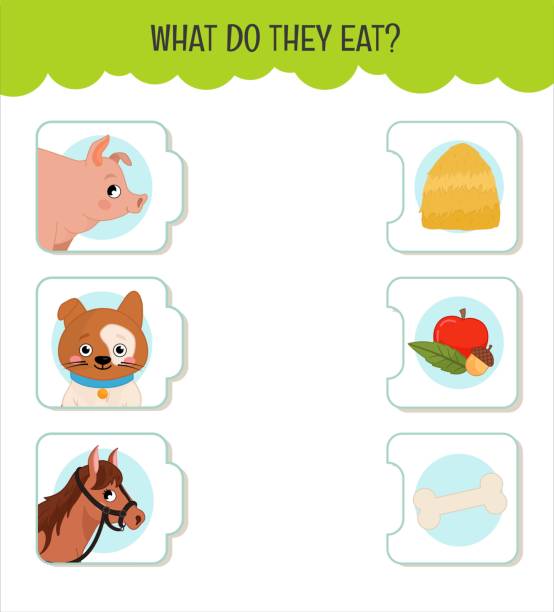 Matching Children Educational Game Stock Illustration - Download Image Now  - Accuracy, Animal, Animal Wildlife - iStock