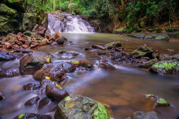Waterfall in Buderim in Queensland's Sunshine Coast hinterland