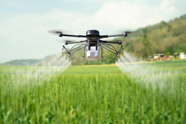 istock Drone spraying pesticide on wheat field. 1302200911