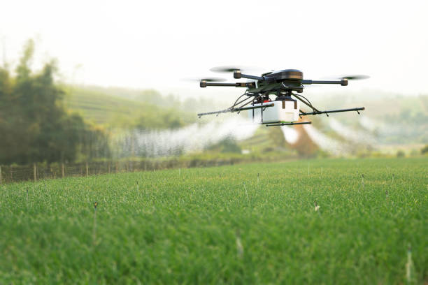 drone spruzza pesticidi sul campo di grano. - spraying agriculture farm herbicide foto e immagini stock