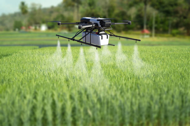 istock Drone spraying pesticide on wheat field. 1302200978