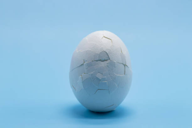 istock A white boiled egg with a cracked shell close-up on a blue background. Free space. Cracked eggshell . The concept of fragility, damage, violation of integrity. 1302201893
