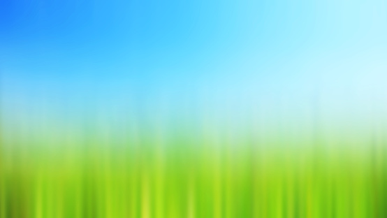 Abstract blurred beautiful green nature with blue sky wallpaper background