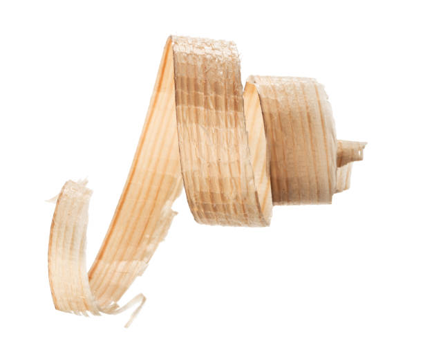 istock Curly wood shaving isolated on white background 1302206658