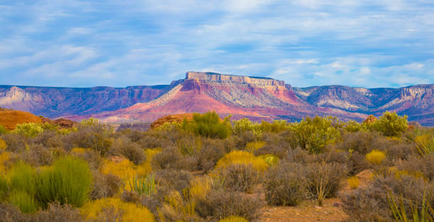 istock Mojave Desert landscape with blue cloudy sky 1302206694