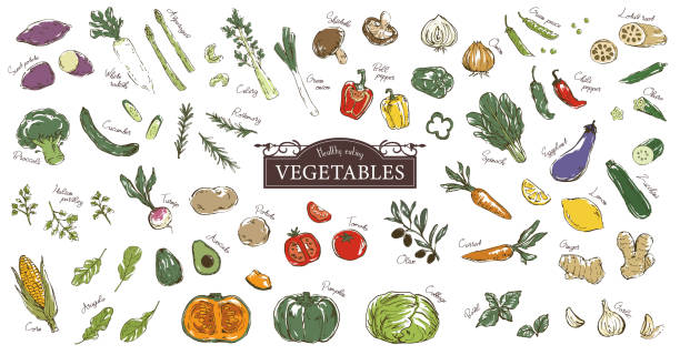 Hand drawn sketch illustration of vegetables. Hand drawn sketch illustration of vegetables. greenpeace stock illustrations