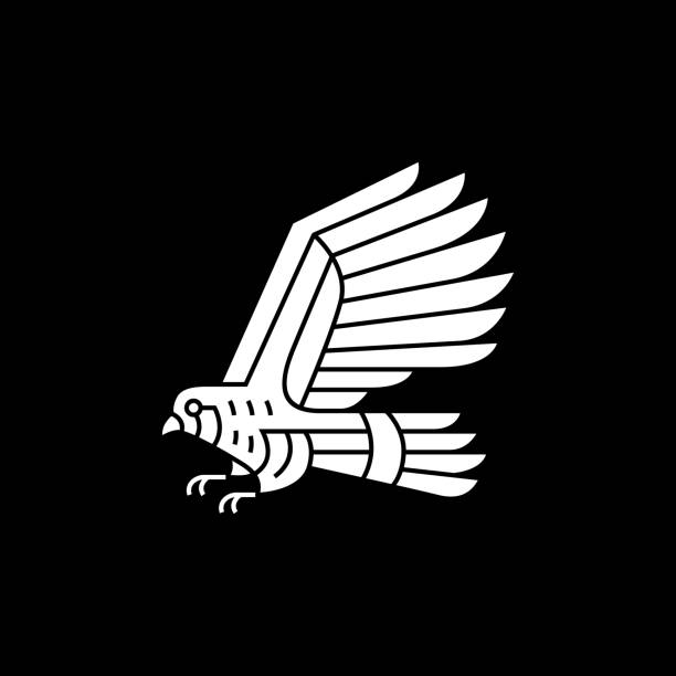 turmfalke vogel schwarz hintergrund vektor-symbol-illustration - kestrel hawk beak falcon stock-grafiken, -clipart, -cartoons und -symbole