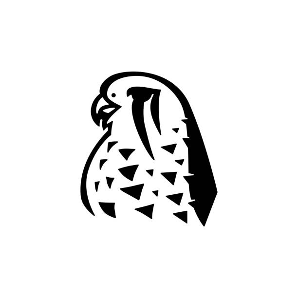 turmfalke vogel vektor-symbol-illustration - kestrel hawk beak falcon stock-grafiken, -clipart, -cartoons und -symbole