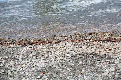 Mountains, Blue Water, Wanaka Tree