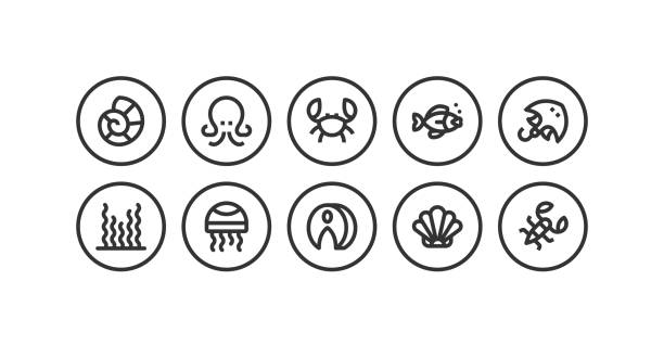 Sea Food, Octopus, Crab, Sea Food, Calamari, Caviar, Stingray Icons Sea Food, Octopus, Crab, Sea Food, Calamari, Caviar, Stingray, Snail, Sea Weed, Oyster, Eel, Medusa, Turbot, Sushi, Shrimp, Lobster, Salmon, Tinned Fish, Sprats Icons fish farm icon stock illustrations