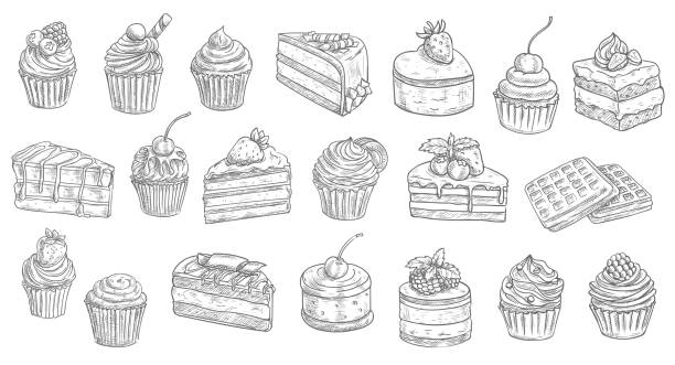 illustrations, cliparts, dessins animés et icônes de gâteaux, gâteaux au fromage esquissent des bonbons de dessert de pâtisserie - custard