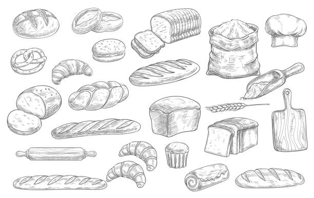 эскизы хлеба и хлебобулочных изделий, гравированное тесто - french loaf stock illustrations