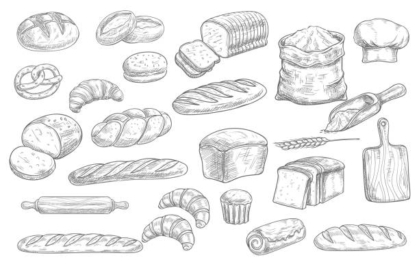 Bread and bakery food sketches, engraved pastry Bread and bakery food sketch vector icons baked loaf, rye and wheat bread, croissants and pretzel. Braided buns and french baguette, rolling pin, toque and scoop engraving retro bakery shop assortment bread bakery baguette french culture stock illustrations