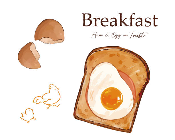 トーストの手描きイラスト。 - 食パン点のイラスト素材／クリップアート素材／マンガ素材／アイコン素材
