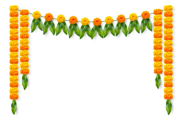 Traditional Indian floral garland. Traditional Indian floral garland with marigold flowers and mango leaves. Decoration for Indian hindu holidays or wedding. Isolated on white. Vector illustration. garland stock illustrations
