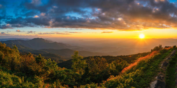istock Tropical forest nature landscape sunset view with mountain range at Doi Inthanon, Chiang Mai Thailand panorama 1302217344