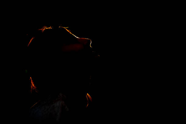 istock Little girl portrait with back light 1302217439