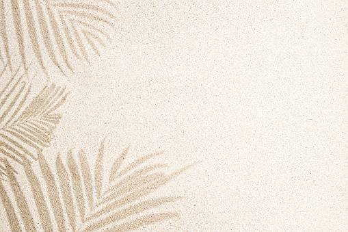 Sombra de hoja de palma en la arena, vista superior, copiar el espacio photo