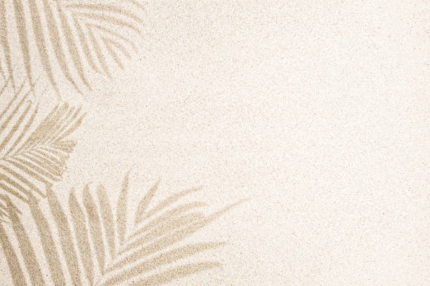 palm leaf shadow on sand, top view, copy space - sand imagens e fotografias de stock