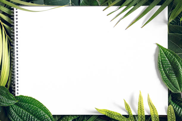 istock Summer tropical mix leaves background  with blank white paper , top view, copy space 1302218414